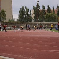 IMG 4578